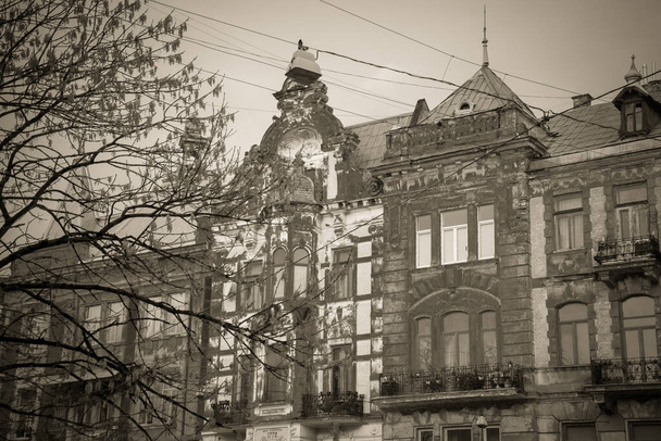 Чудова зимова архітектура і вулиці Львова - Фото, зображення