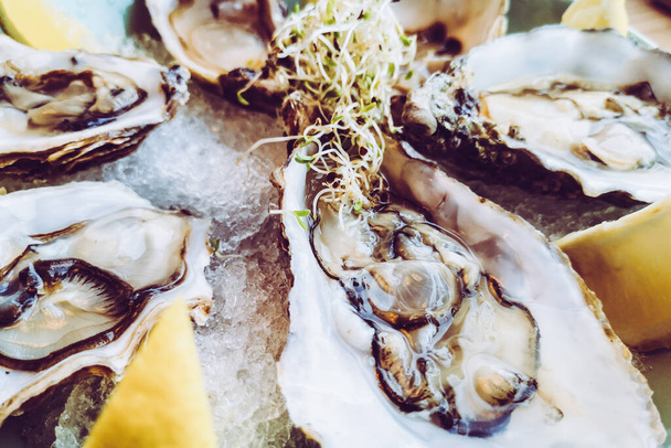oesters op tafel heerlijke lunch - Foto, afbeelding