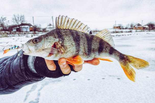 αλιεία σε πάγο φόντο - Φωτογραφία, εικόνα