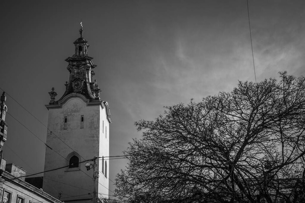 Magnificent winter Lviv architecture and streets - Foto, Bild
