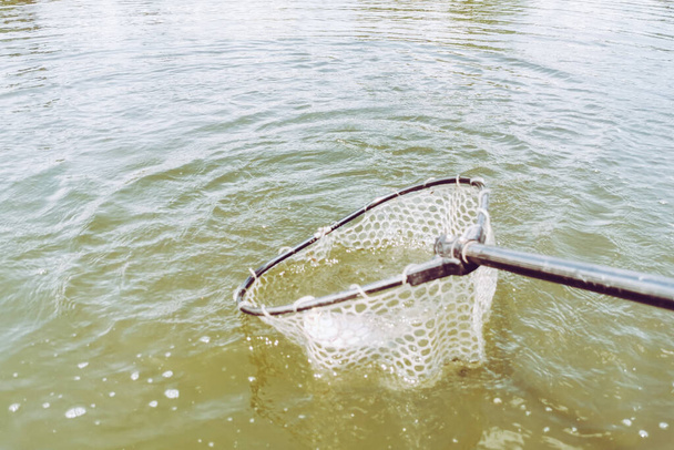 Łowienie pstrągów w jeziorze, wędkowanie, rekreacja - Zdjęcie, obraz