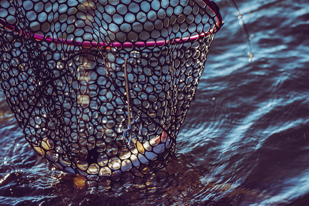 Pesca de truchas en el lago
 - Foto, imagen