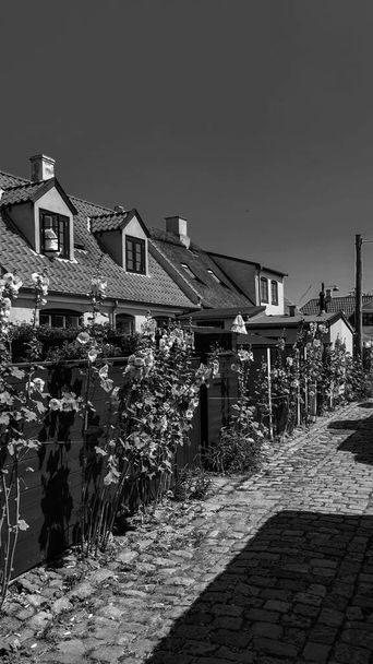 Magnifique village maritime au Danemark - Photo, image