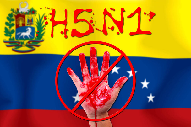 Koncept open hand stop epidemie H5N1 na pozadí vlajky. - Fotografie, Obrázek