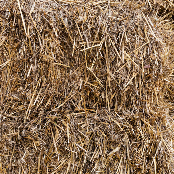 dry straw pattern made of grass, natural farm background dark beige - Photo, Image