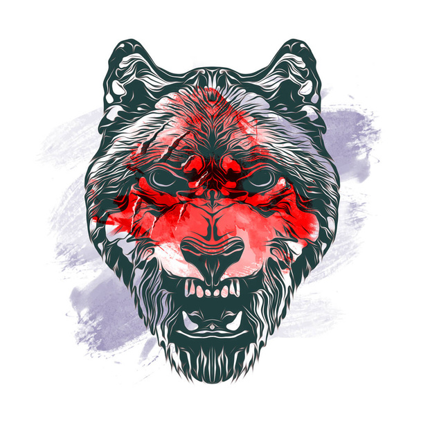 Tête de loup avec des éléments créatifs abstraits colorés sur fond blanc - Photo, image