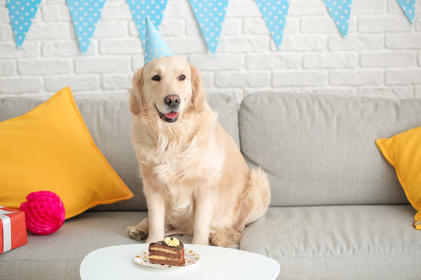 Χαριτωμένο σκυλί γιορτάζει τα γενέθλια στο σπίτι - Φωτογραφία, εικόνα