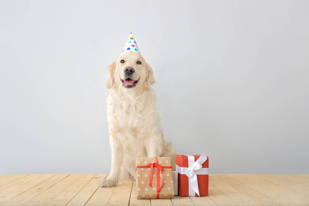 Cute dog in party hat and with gifts on light background - Fotó, kép