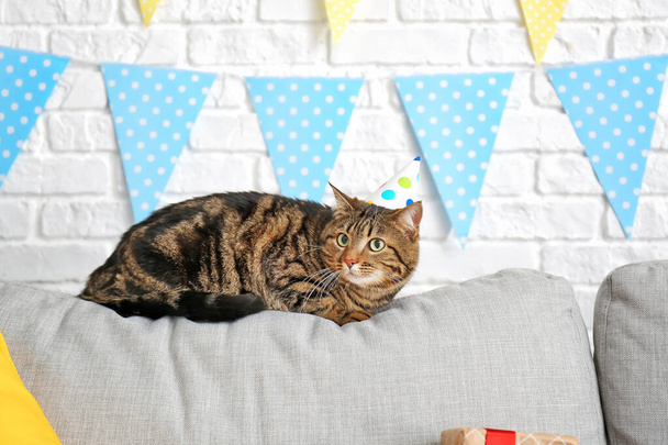Cute cat celebrating Birthday at home - Foto, Imagem