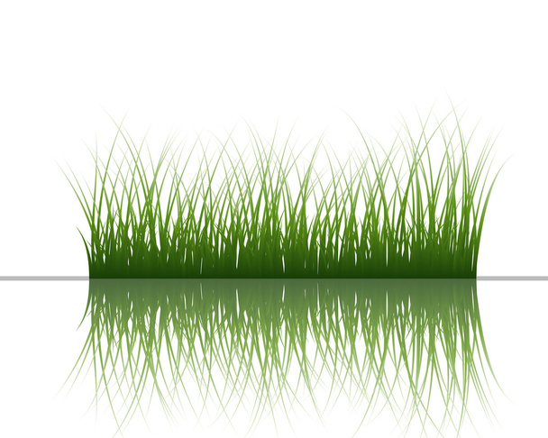 Трава на воді
 - Вектор, зображення