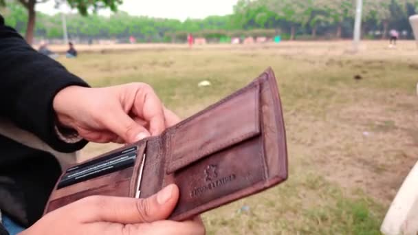 counting money from wallet - Filmati, video