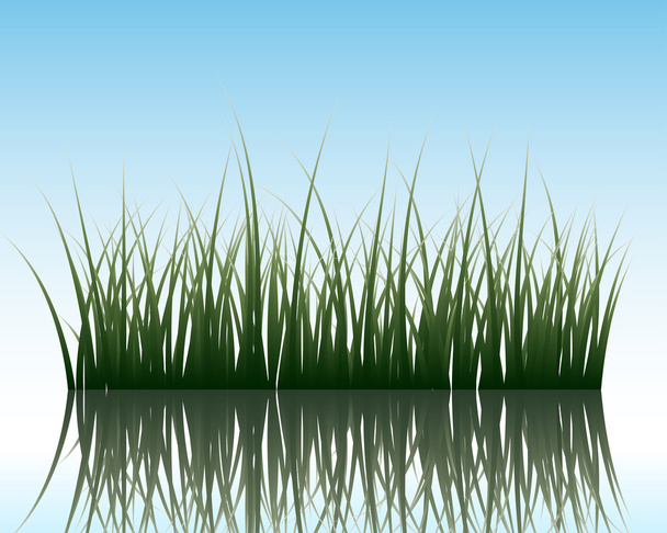 gras op water - Vector, afbeelding