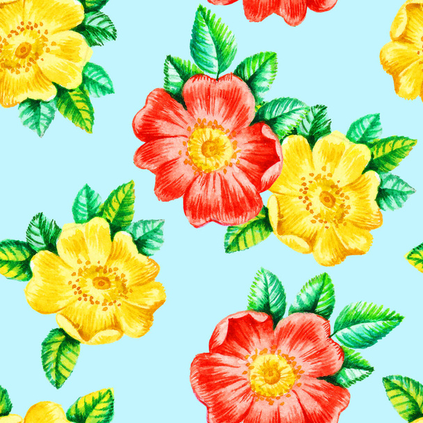 Watercolor hand paint dog rose flowers seamless pattern, template for textile, wallpaper, wrapping paper. - Foto, imagen