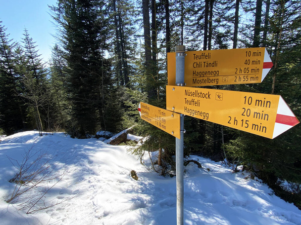 Mountaineering signposts and markings on the hills over the Alptal alpine valley and in central Switzerland, Einsiedeln - Canton of Schwyz, Switzerland (Schweiz) - Fotografie, Obrázek