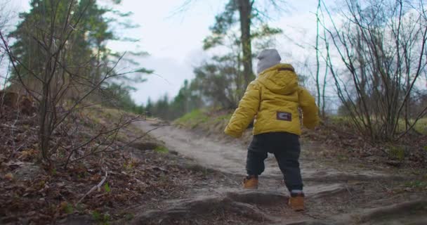 スローモーション:森の中を歩く少年に続く。晴れた日には若い男の子が山の森を歩いている。ハイカーだ。黄色のジャケットを着た2 〜 3歳の小さな男の子が自然と森を探索します - 映像、動画