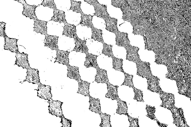 Fondo abstracto. Textura monocromática. Fondo texturizado en blanco y negro.  - Foto, Imagen