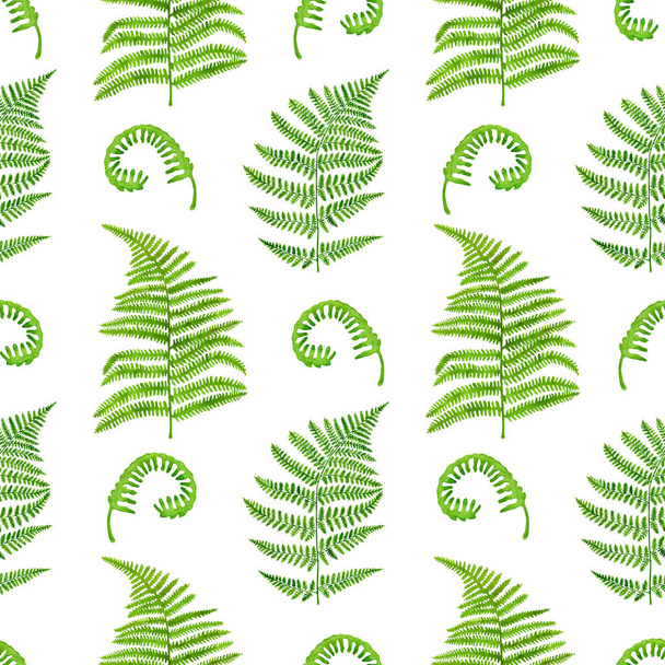水彩緑のシダはシームレスなパターンを残します。手描きの森林植物白い背景に隔離されたPolypodiopsidaテクスチャ。装飾、招待状、織物、包装のための現実的なイラスト. - 写真・画像