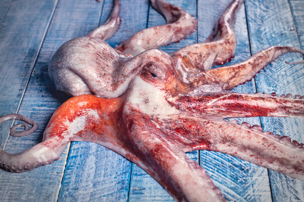 Fresh octopus, freshly caught on a blue board - Foto, Imagen