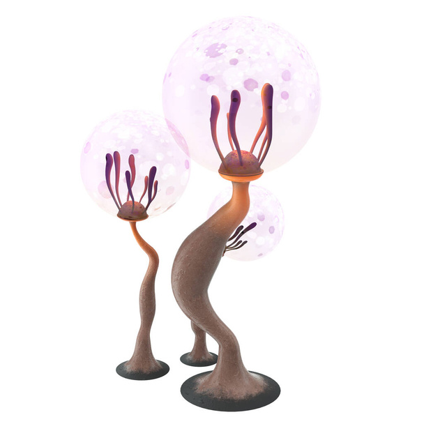 fantasia cartoni animati funghi su uno sfondo bianco isolato. Illustrazione 3d
 - Foto, immagini
