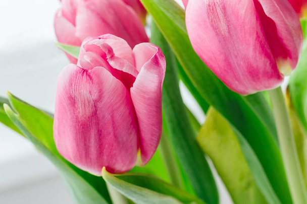 Ramo de hermosos tulipanes rosados sobre un fondo borroso de tallos y hojas verdes. Delicadas flores de primavera como regalo para las vacaciones. Enfoque selectivo
 - Foto, Imagen