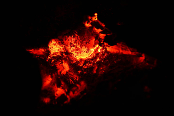 Takka tulipalo lähikuva makro
  - Valokuva, kuva