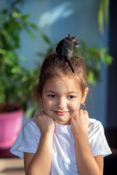 Girl at home playing with her pet Mongolian gerbil. Communication of children with animals - Photo, Image