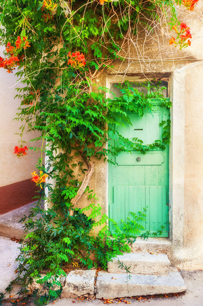 Grüne Holztür und grüner Zierbaum mit roten Blumen. Alte Architektur in Valensole, Provence, Frankreich.  - Foto, Bild