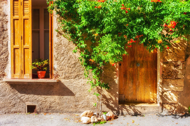 Stará architektura ve Valensole, Provence, Francie. Okno s dřevěnými okenicemi a dveřmi se zeleným ozdobným stromem - Fotografie, Obrázek