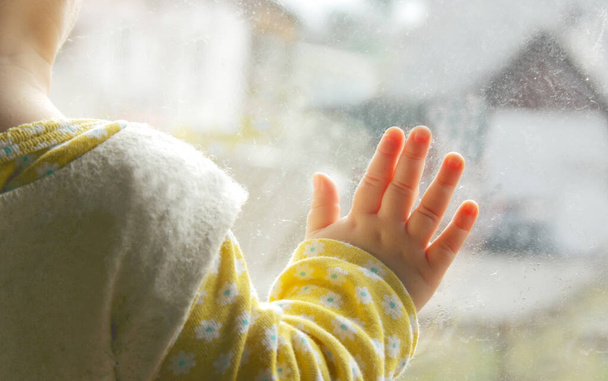 窓の外を見ている小さな赤ちゃん, - 写真・画像