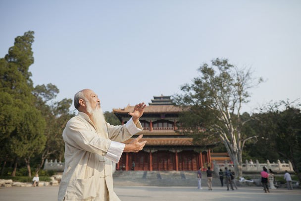 Älterer Mann praktiziert Tai Ji - Foto, Bild