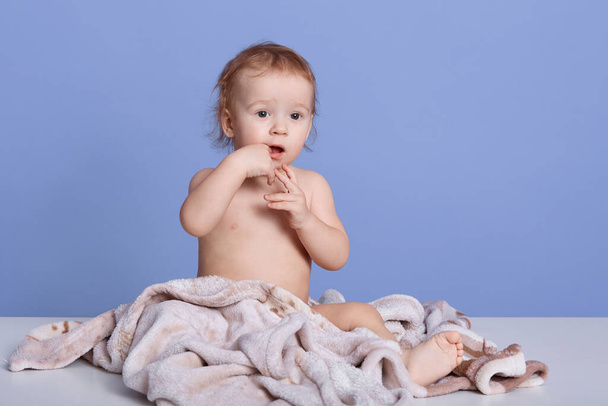 Indoor shot of little cute child sitting on soft towel and biting her fingers, looking at camera with opened mouth, naked baby sitting isolated over blue background. Childhood, children concept. - Photo, Image