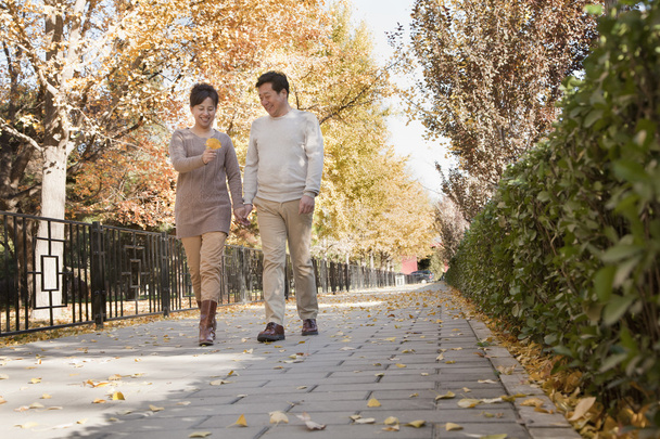 Kypsä pari puhuu kävellä puistossa
 - Valokuva, kuva