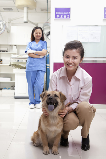 γυναίκα με κατοικίδιο ζώο το σκυλί στο γραφείο του κτηνιάτρου - Φωτογραφία, εικόνα