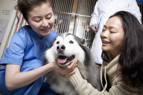 Woman with pet dog and veterinarian - Photo, Image