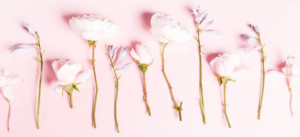 Romantyczny sztandar, delikatne białe róże z bliska. Pachnące różowe płatki kremu - Zdjęcie, obraz