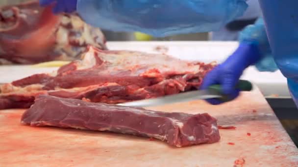 Butcher cutting beef by the conveyor belt - Footage, Video