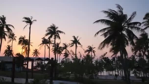 Ηλιοβασίλεμα σε τροπικές περιοχές, θέα από την κίνηση του τελεφερίκ - Πλάνα, βίντεο