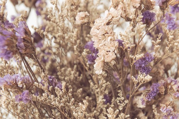 Fondo hermoso ramo de flores secas, enfoque selectivo
 - Foto, imagen