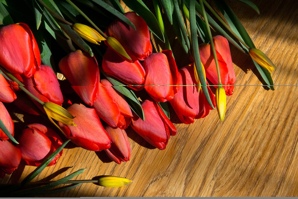 Red and yellow tulips on a wooden background with a place to insert a congratulation text. Greeting card with a bouquet of red tulips in bulk - Photo, Image