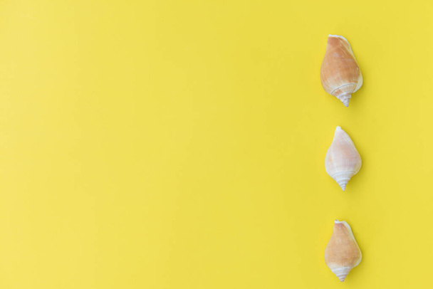 Flat lay sea shells on yellow background,top view - Foto, Imagen