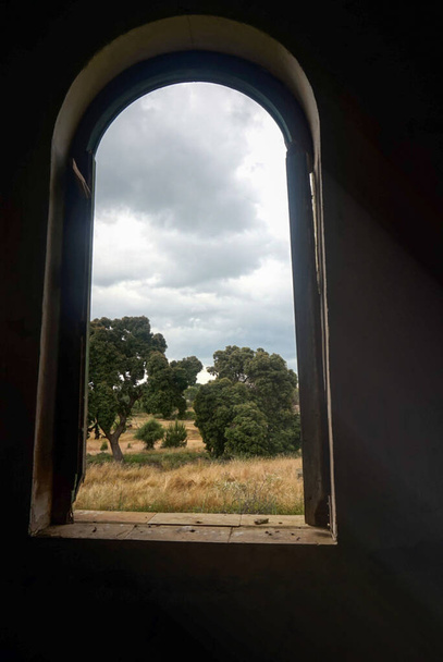 окно посреди поля, окруженное природой
 - Фото, изображение