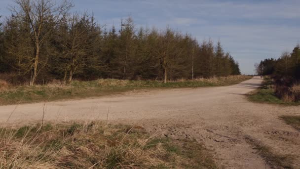 Man Mountain Biking down a gravel track in the countryside - Footage, Video