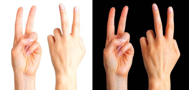 Mano femenina mostrando dos dedos en el símbolo de la paz
 - Foto, Imagen