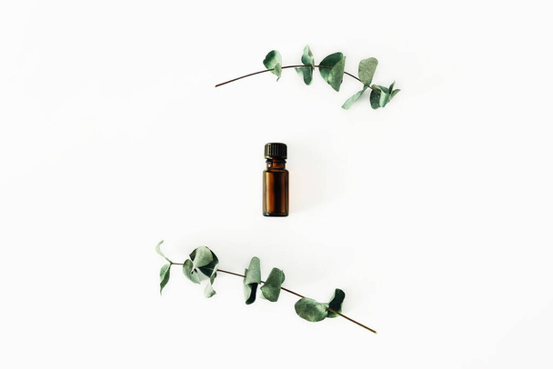 Una botella de aceite cosmético o esencial fragante sobre un fondo blanco rodeado de ramitas de eucalipto
. - Foto, imagen