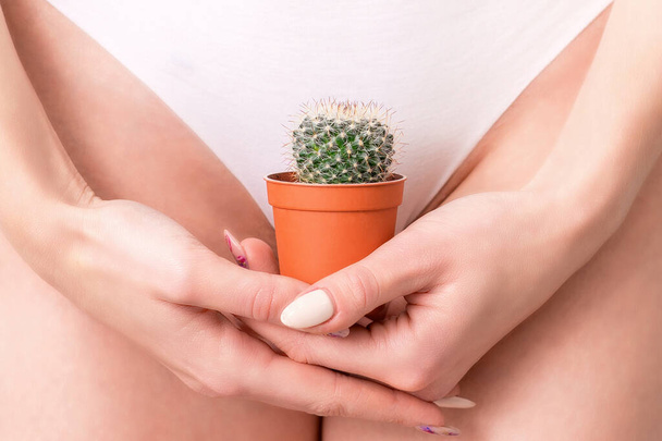 Cactus in pot on white panties background of woman. Epilation concept, intimate hygiene. - Photo, Image