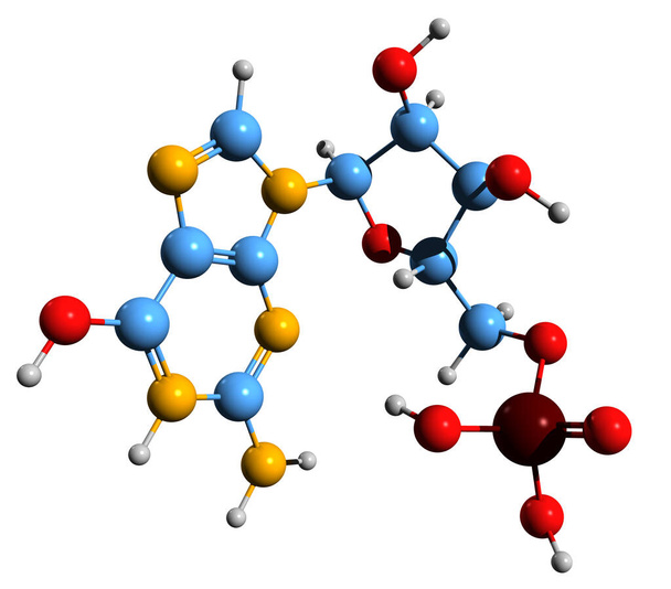3D-beeld van guanylic zuur skeletformule - moleculaire chemische structuur van Guanosine monofosfaat E626 geïsoleerd op witte achtergrond - Foto, afbeelding