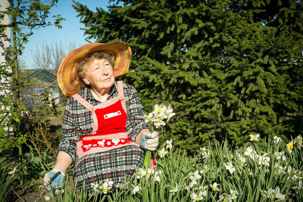 Чарівна стара жінка. Стара жінка вирізає дорослі квіти. Позитивні емоції при зборі букета
. - Фото, зображення