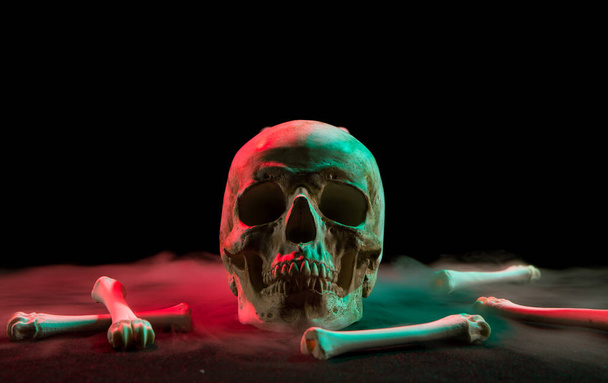 Human skull near bones and thick white smoke flowing around for Day of Dead on dark background with red and green light. - Фото, зображення
