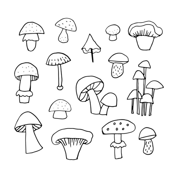 Zestaw grzybów doodle: muchomory, chanterele, agariki muchowe, grzyby brunatne, pieczarki - Wektor, obraz