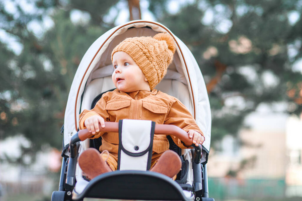 Baby boy in warm jacket and hat sitting in modern stroller on a walk in a park. Child in buggy. - Photo, Image